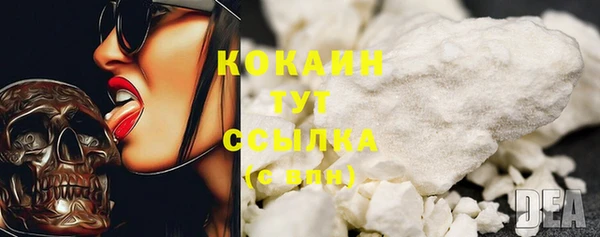 индика Балабаново