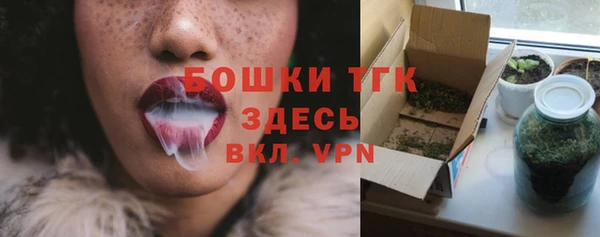 метадон Снежногорск