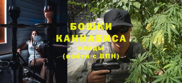 индика Балабаново