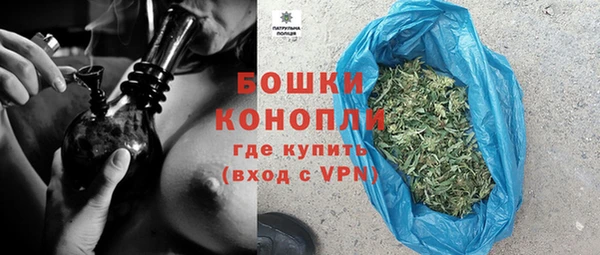 индика Балабаново