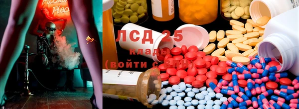 индика Балабаново