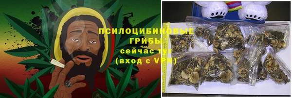 индика Балабаново