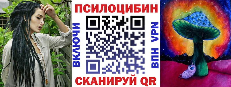 где можно купить   Буй  Псилоцибиновые грибы GOLDEN TEACHER 